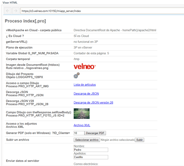 PS 12 VisorHTML